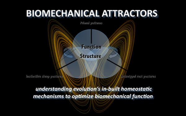 Webinar: Balancing your Body with Biomechanical Attractors, Thursday 15th September, 20:00-22:30