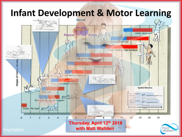 Infant Development & Motor Control