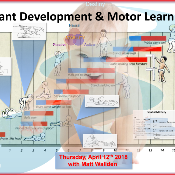 Infant Development & Motor Control