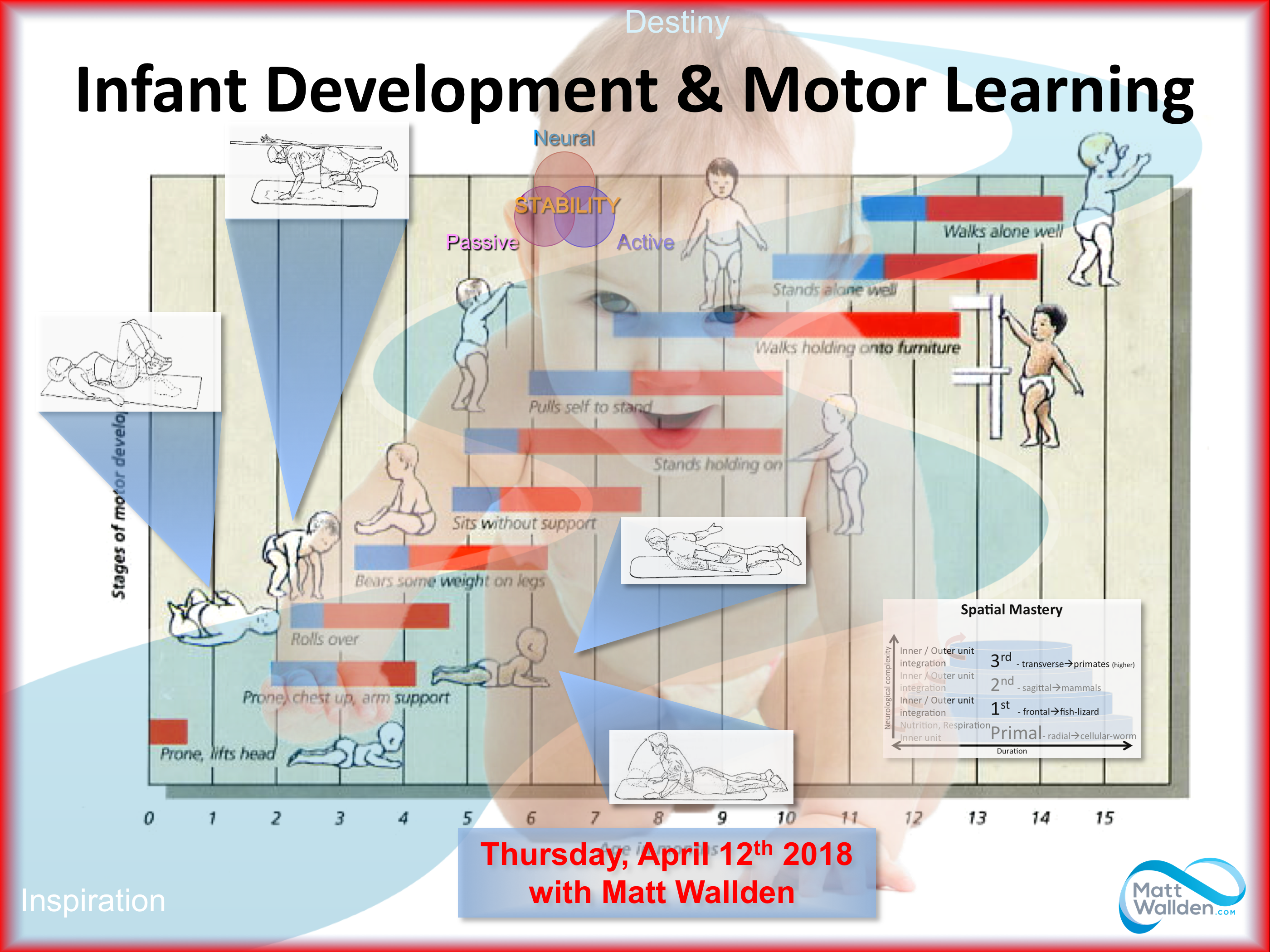 Infant Development & Motor Control