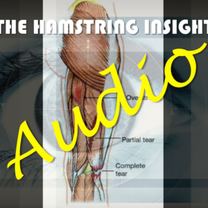 The Hamstring Insight webinar AUDIO file