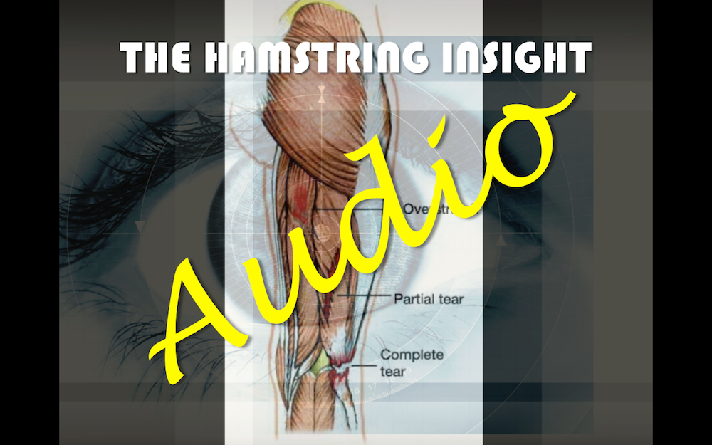 The Hamstring Insight webinar AUDIO file