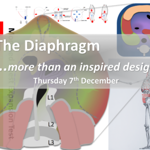 The Diaphragm - more than an inspired design