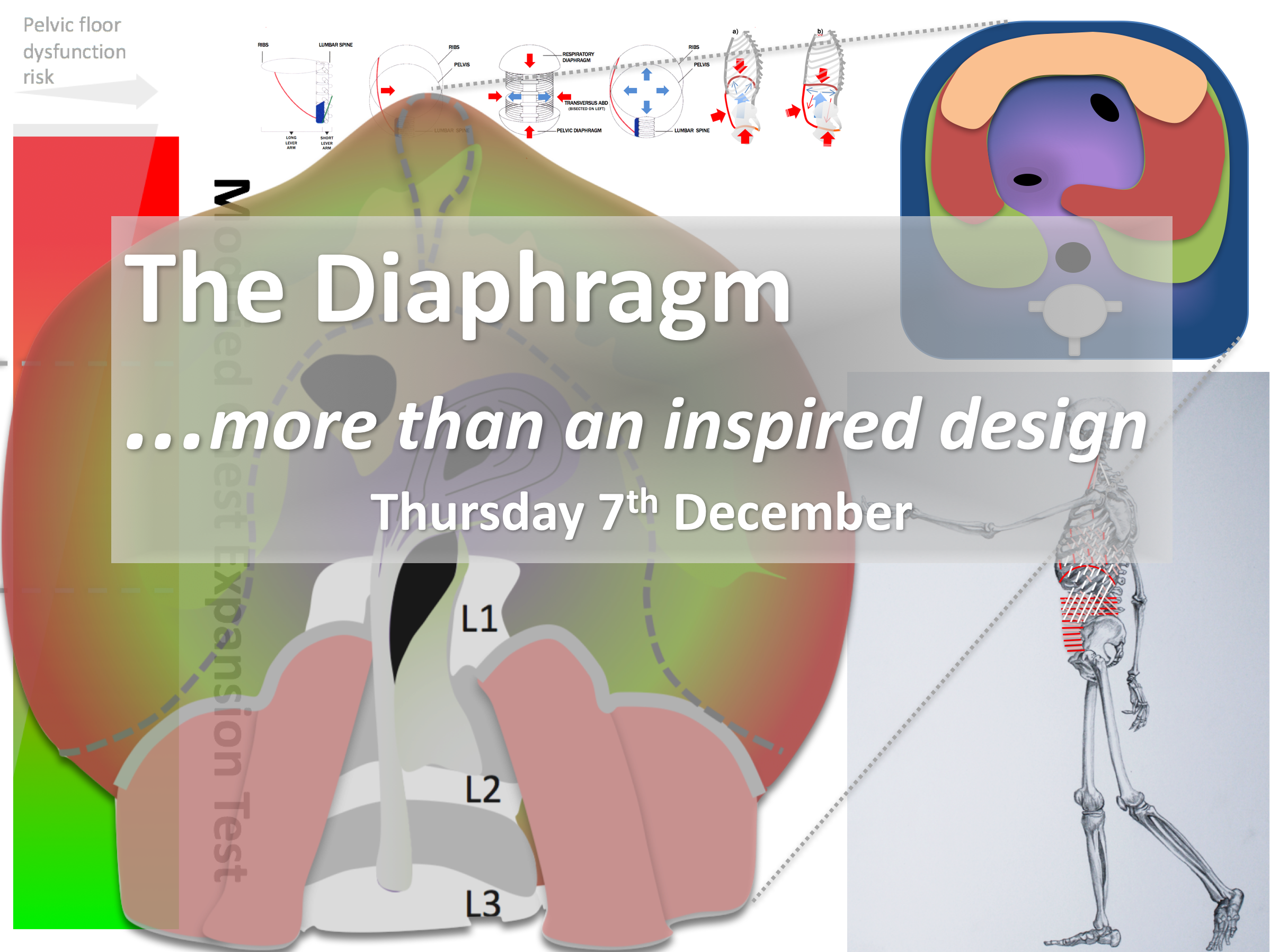 The Diaphragm - more than an inspired design