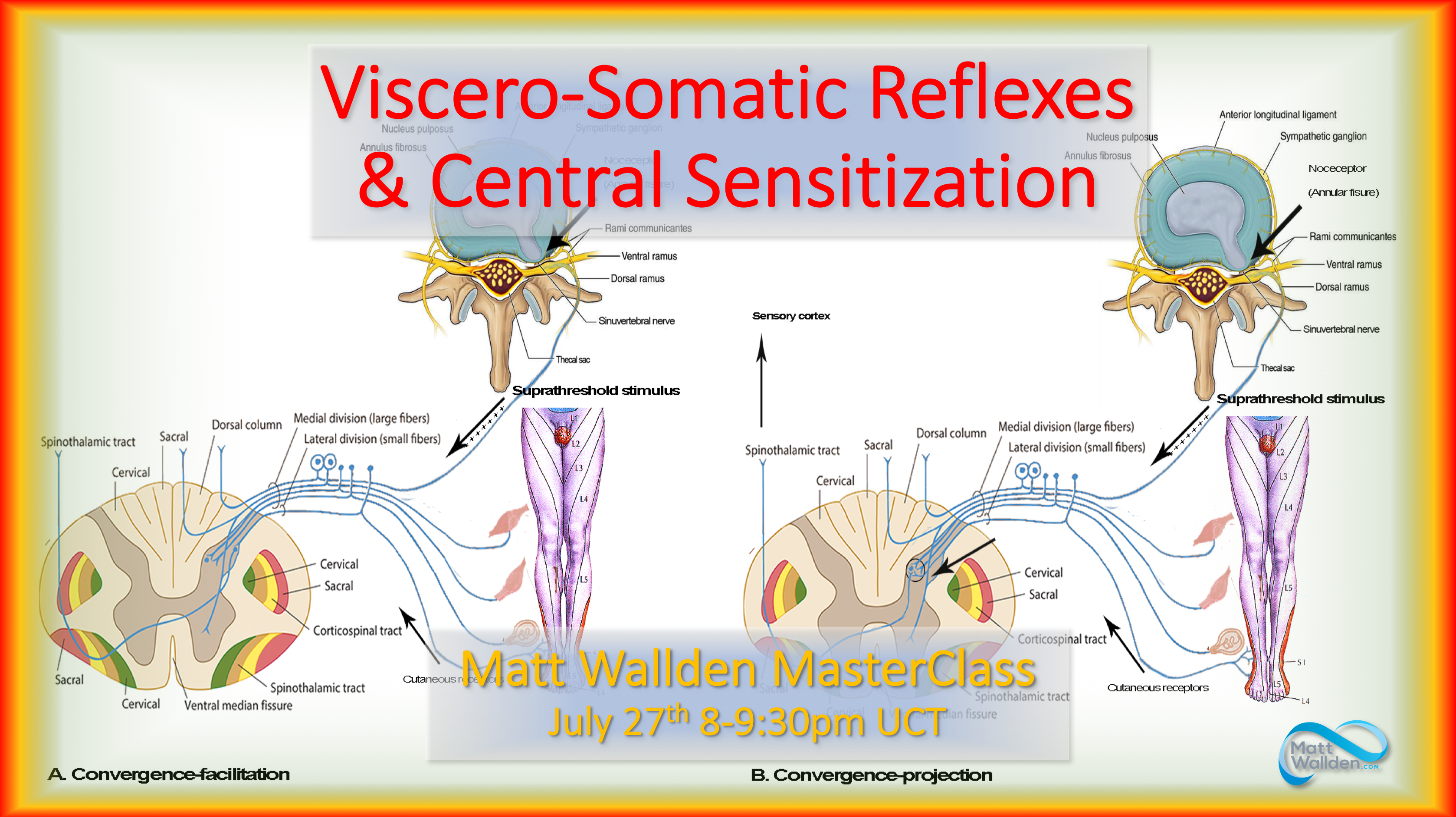 Viscero-Somatic Reflexes & Central Sensitivity