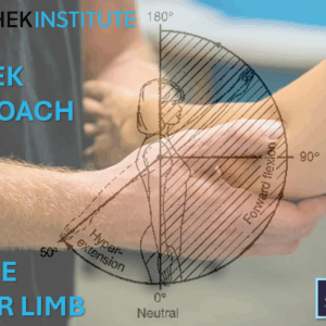 A CHEK Approach to the Upper Limb